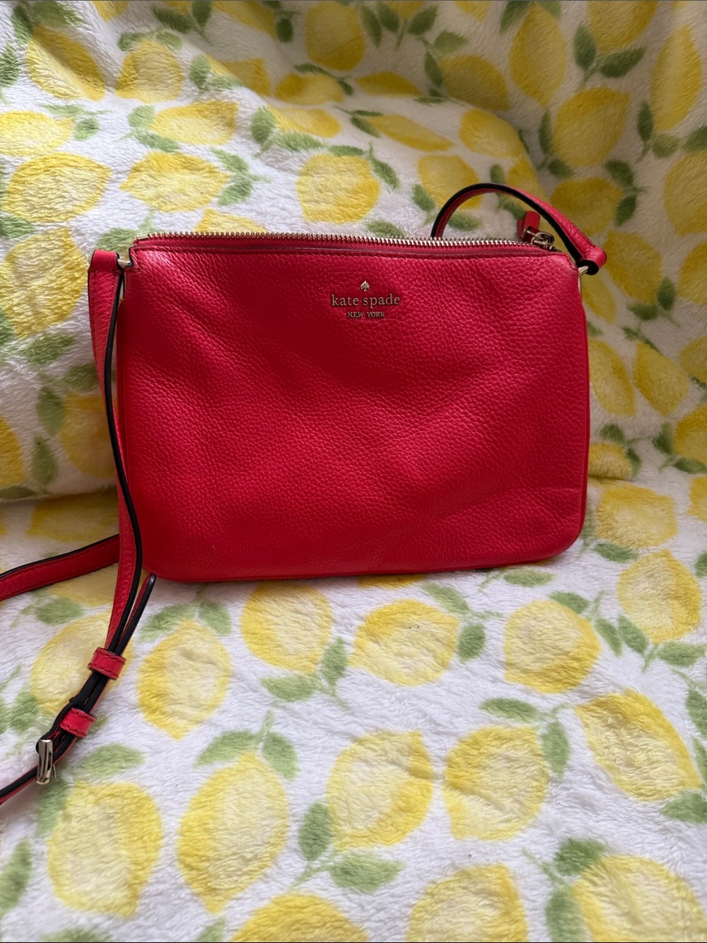 kate spade Red Pebbled Leather Crossbody Bag